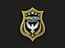 design a professional security, cyber security, shield and protection logo