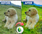 create all image presets