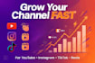 write viral youtube scripts,essays and ebook content