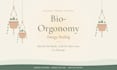 do bio orgonomy energy healing for balance