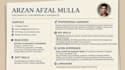 design professional clean resumes and translation