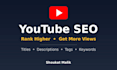 do youtube SEO optimization for your videos and channel