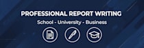 a professional report and presentation for school and business