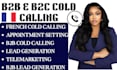france cold calling b2b lead generation and appointment setting