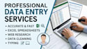 do data entry, quality audit operations