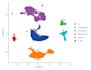 analyze single cell rna seq data using python and r