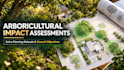 write arboricultural impact assessments to solve planning refusals
