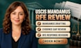 draft uscis immigration document, rfe response, affidavits and complaints