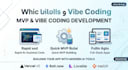 build vibe coding mvp solutions