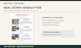 design a professional email newsletter