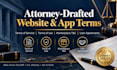 draft marketplace website terms and conditions