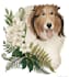 draw a pet portrait
