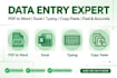 do data entry, copy paste, pdf to word and excel typing work