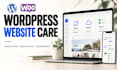 provide monthly wordpress maintenance backups and website support