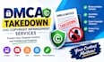 provide dmca takedown and copyright infringement services