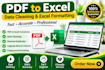 convert PDF to excel,clear data, and format spreadsheets