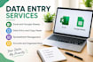 do data entry and manage excel spreadsheets
