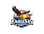 design superb modern eagle and drone logo with express delivery