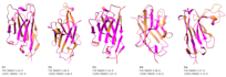 design proteins, predict structures, perform docking and MD simulations