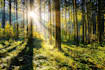 send personalized  powerful distant reiki healing session