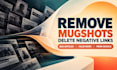 remove mugshots, delete negative links, bad articles, false news from google