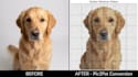 convert photo to cross stitch pattern with dmc color codes