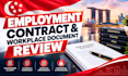 review employments contracts and workplace documents