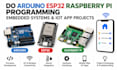 do arduino esp32 raspberry pi programming embedded systems and iot app projects