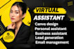 amazon fba virtual assistant airbnb virtual assistant klaviyo virtual assistant