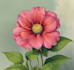 hand paint botanical illustrations