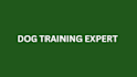 do dog training video to train your pet