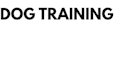 do amazing dog training video to train your dog
