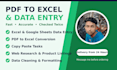 do excel data entry and spreadsheet trackers