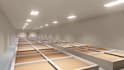 create 3d medical cannabis production facility walkthrough animation