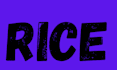 cook rice and beans