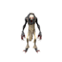 model, rig and animate your character