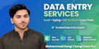fast data entry, excel work, pdf to word and typing work
