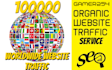 do promotion to get  worldwide web traffic