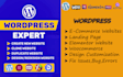 create , clone, revamp wordpress websites, woocommerce websites