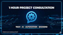 1 hour software project consultation