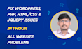 fix wordpress issues, fix wordpress website