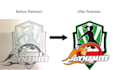 convert your logo to vector in 48 hours