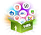 design and develop a professional wordpress website