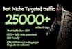 provide 25000 targeted,website,traffic, real,visitors