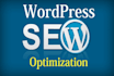 perform wordpress SEO optimization to your site