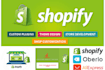 create custom shopify store, woocommerce website