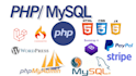 do any type of php and mysql programming