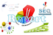 create full on page SEO report for any keyword,and url