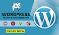 customize, fix, edit, your wordpress theme