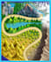 create game map for your game